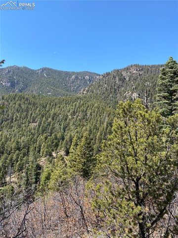Little Turkey Creek Road, Colorado Springs, CO 80926