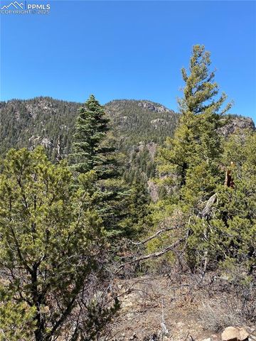 Little Turkey Creek Road, Colorado Springs, CO 80926