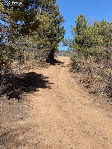 Little Turkey Creek Road, Colorado Springs, CO 80926