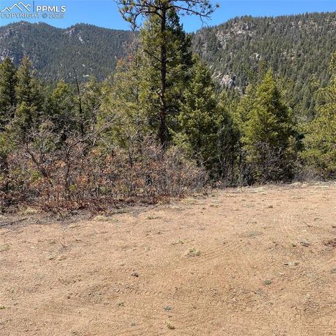 Little Turkey Creek Road, Colorado Springs, CO 80926