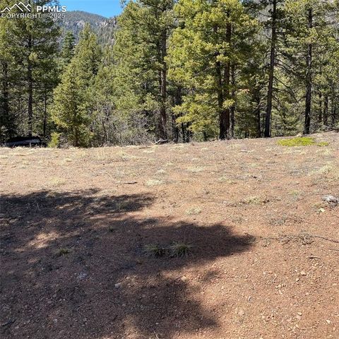 Little Turkey Creek Road, Colorado Springs, CO 80926