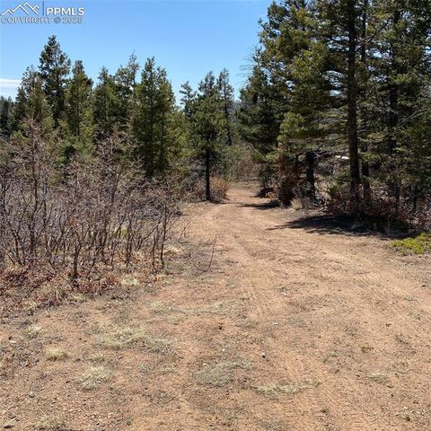 Little Turkey Creek Road, Colorado Springs, CO 80926