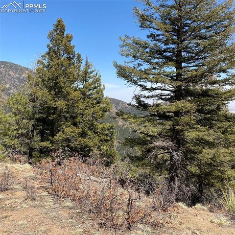 Little Turkey Creek Road, Colorado Springs, CO 80926