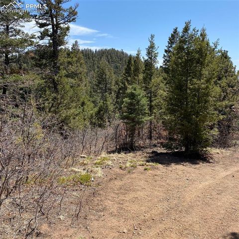 Little Turkey Creek Road, Colorado Springs, CO 80926