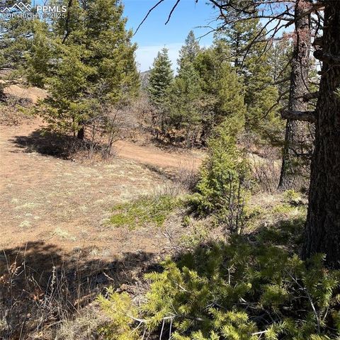 Little Turkey Creek Road, Colorado Springs, CO 80926