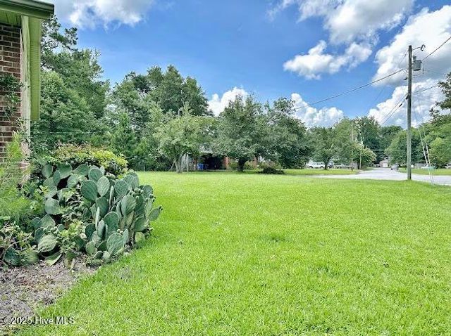 1113 Hendricks Court, Jacksonville, NC 28540