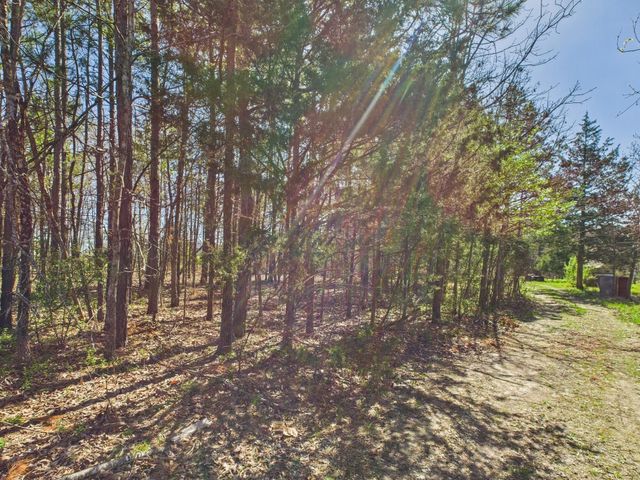 22600 Birchen Road, Hartshorn, MO 65479