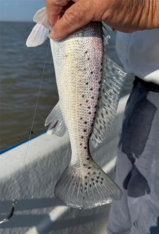 2252 County Road 201, Sargent, TX 77414