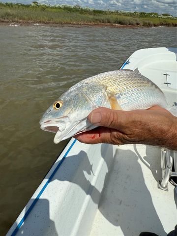 2252 County Road 201, Sargent, TX 77414