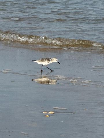 2252 County Road 201, Sargent, TX 77414