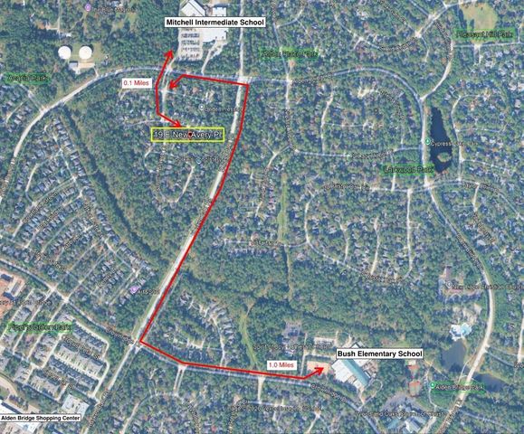 19 E New Avery Place, The Woodlands, TX 77382