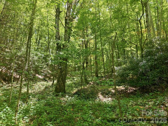 1158 Dark Ridge Road, Sylva, NC 28779