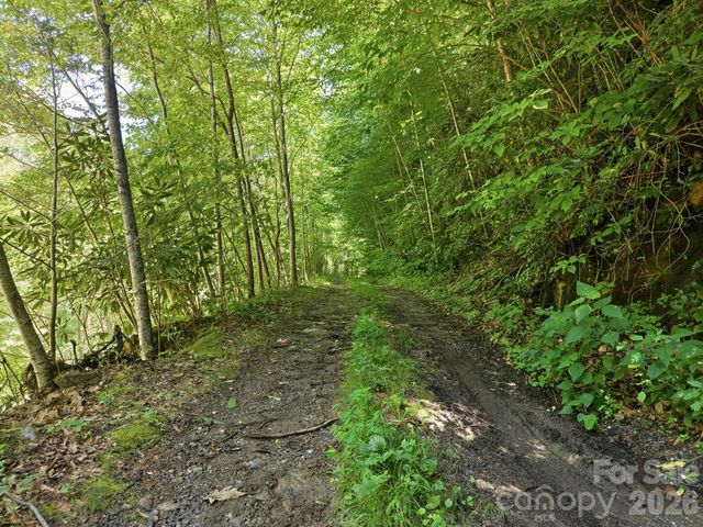 1158 Dark Ridge Road, Sylva, NC 28779