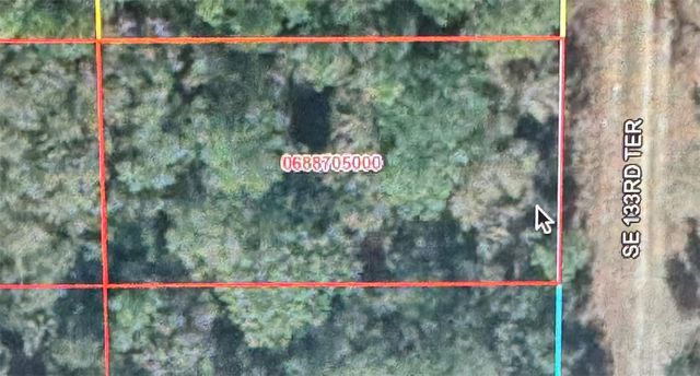 SE 133RD TERRACE, Dunnellon, FL 34432