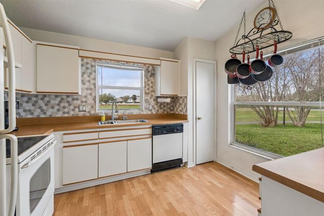 11223 BRAMBLEBRUSH STREET, Tampa, FL 33624