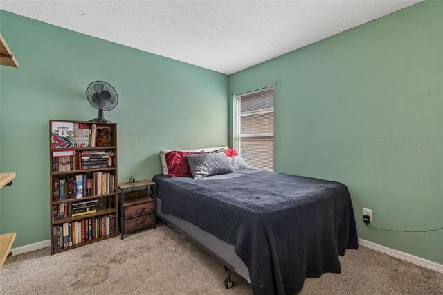 11223 BRAMBLEBRUSH STREET, Tampa, FL 33624