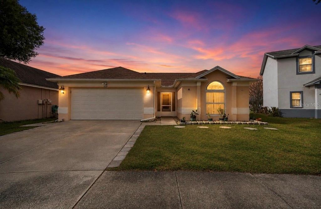 11223 BRAMBLEBRUSH STREET, Tampa, FL 33624
