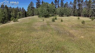 Spring Valley Drive, Divide, CO 80814