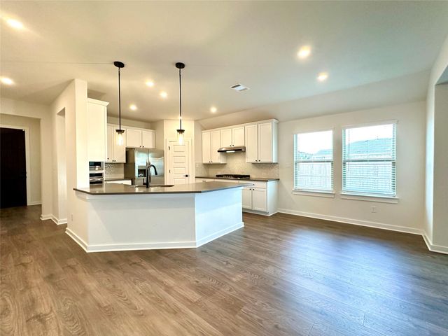 336 Chaste Tree DR, San Marcos, TX 78666