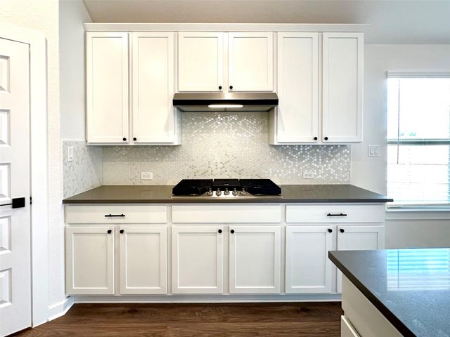 336 Chaste Tree DR, San Marcos, TX 78666