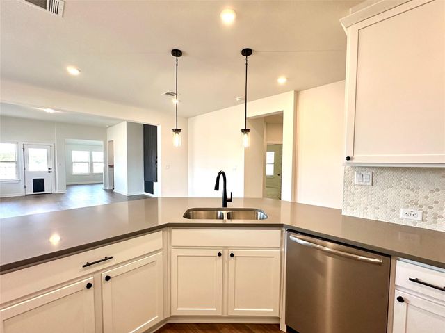 336 Chaste Tree DR, San Marcos, TX 78666