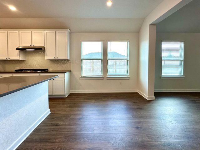 336 Chaste Tree DR, San Marcos, TX 78666