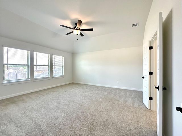 336 Chaste Tree DR, San Marcos, TX 78666
