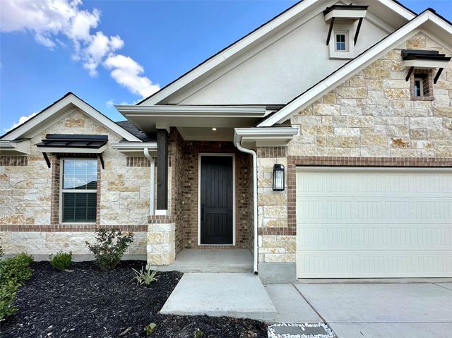 336 Chaste Tree DR, San Marcos, TX 78666