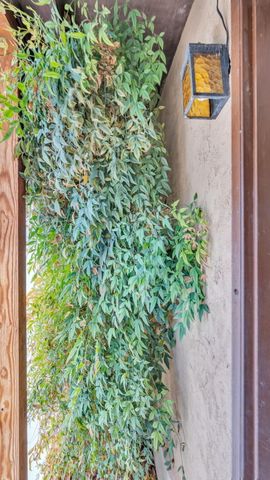 1213 Vista Drive, Socorro, NM 87801