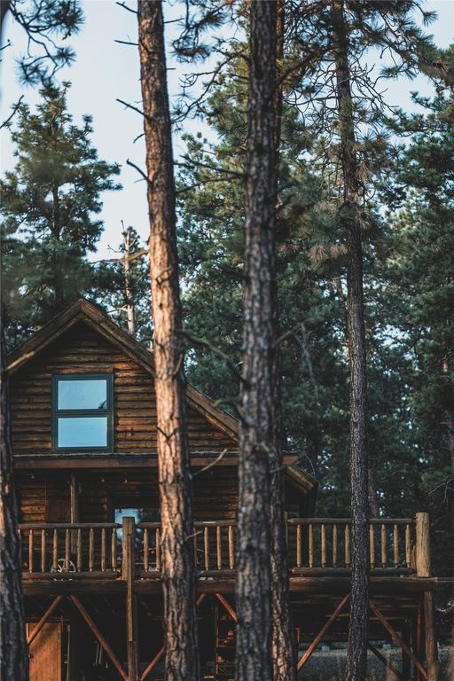 44625 Wild Horse Island Lane, Dayton, MT 59914 photo 10