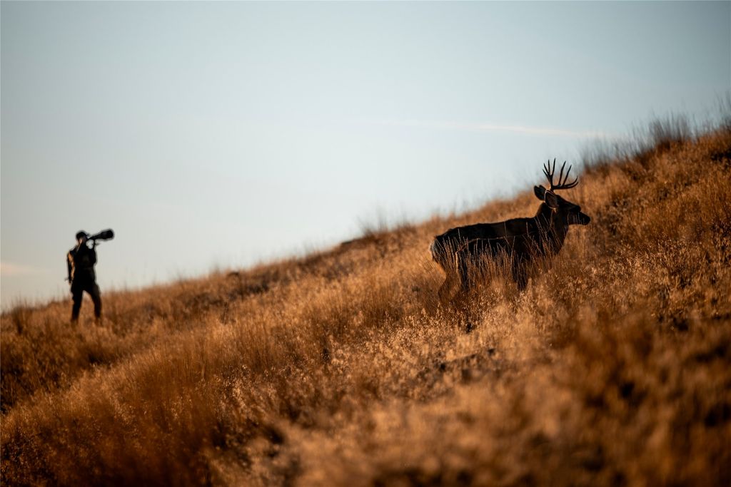 44625 Wild Horse Island Lane, Dayton, MT 59914 photo 14