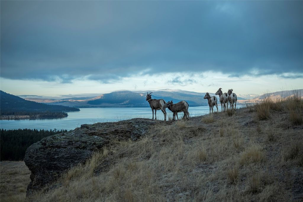 44625 Wild Horse Island Lane, Dayton, MT 59914 photo 17