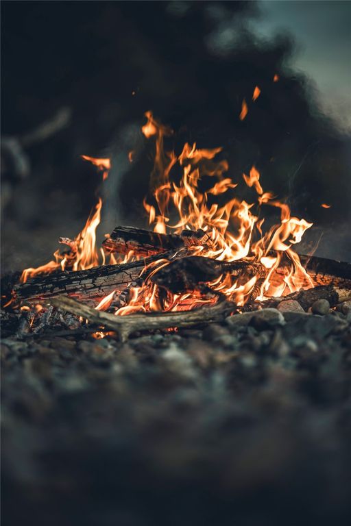 44625 Wild Horse Island Lane, Dayton, MT 59914 photo 22