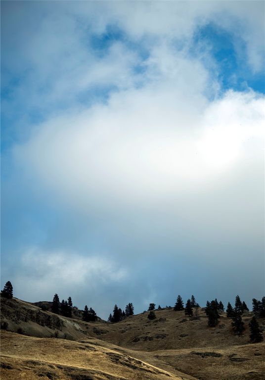 44625 Wild Horse Island Lane, Dayton, MT 59914 photo 23