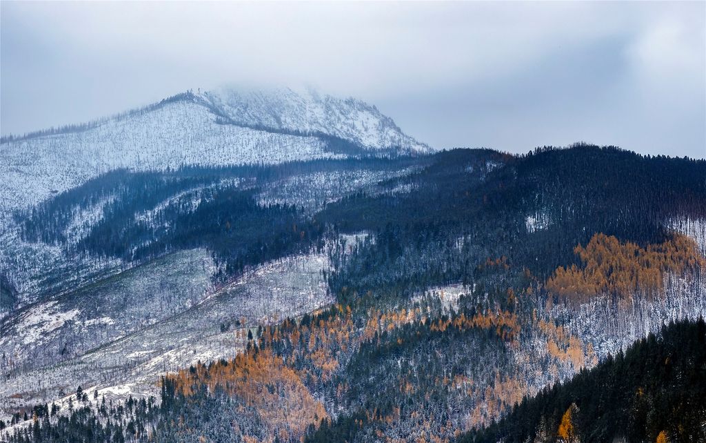 44625 Wild Horse Island Lane, Dayton, MT 59914 photo 24