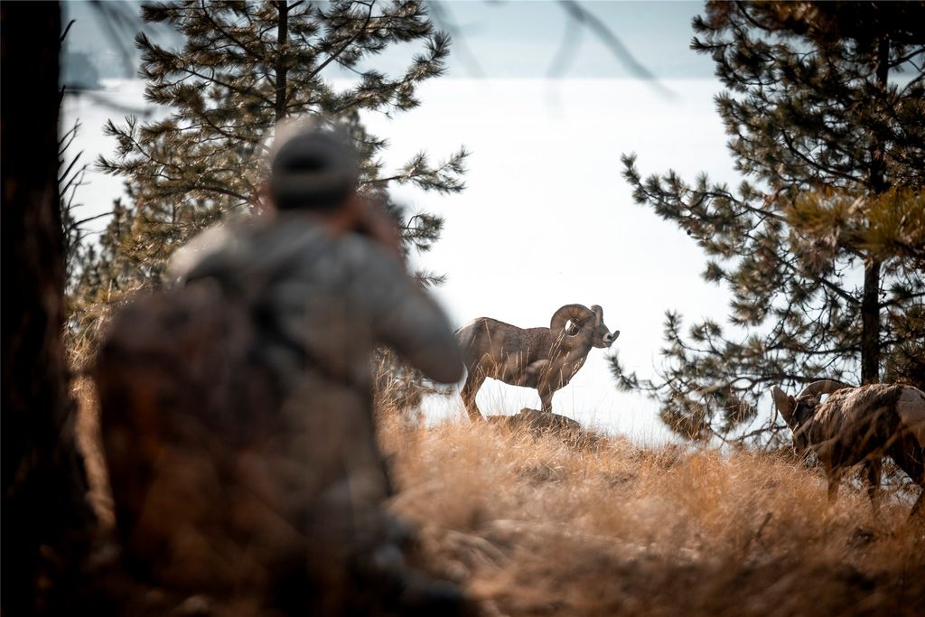 44625 Wild Horse Island Lane, Dayton, MT 59914 photo 36