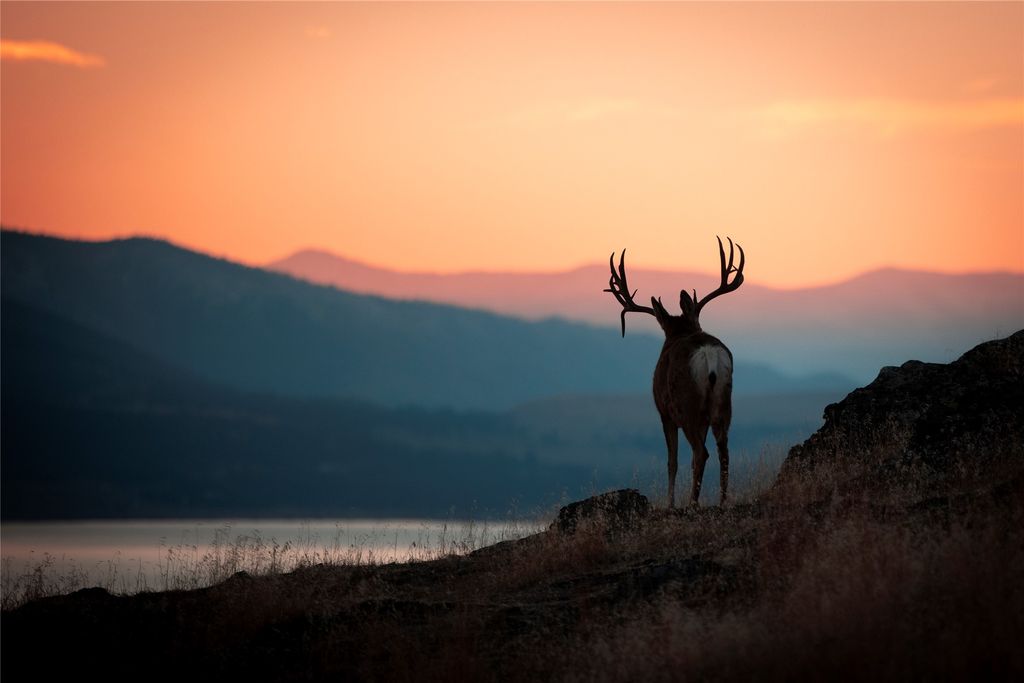 44625 Wild Horse Island Lane, Dayton, MT 59914 photo 39