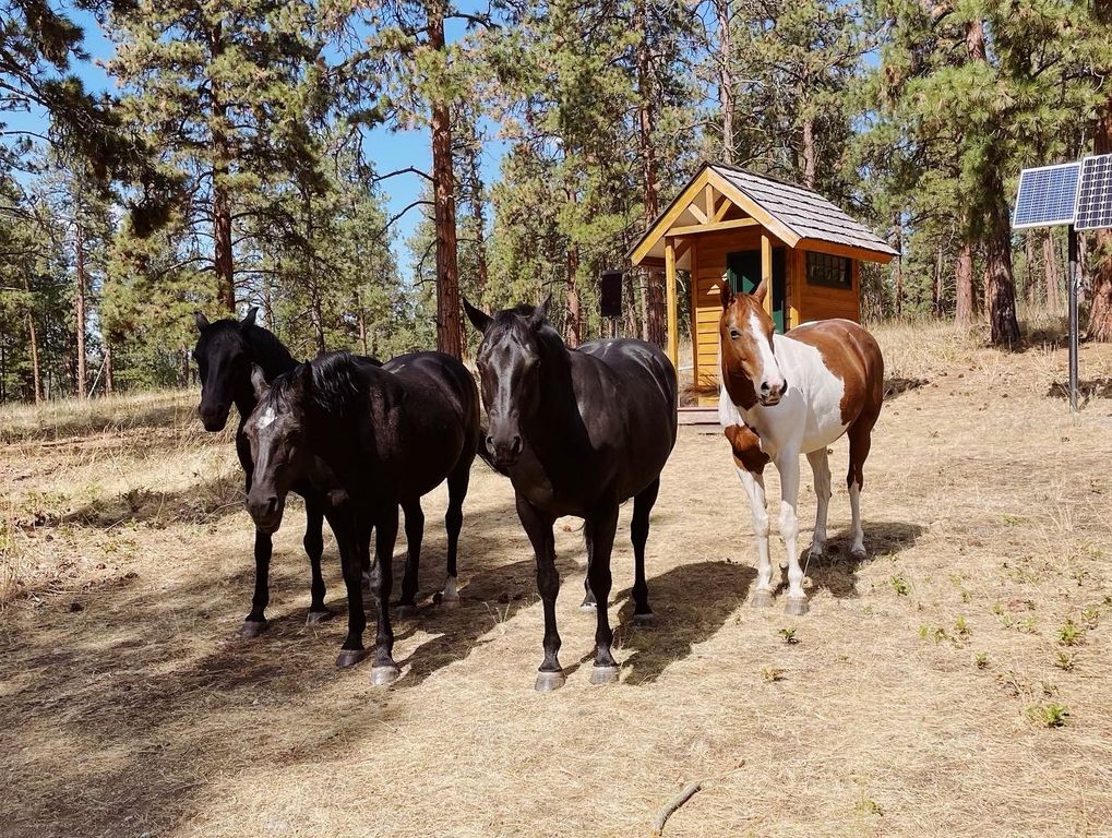 44625 Wild Horse Island Lane, Dayton, MT 59914 photo 40