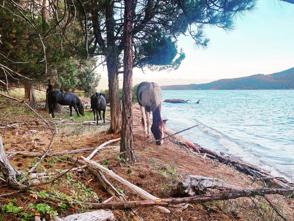 44625 Wild Horse Island Lane, Dayton, MT 59914 photo 41