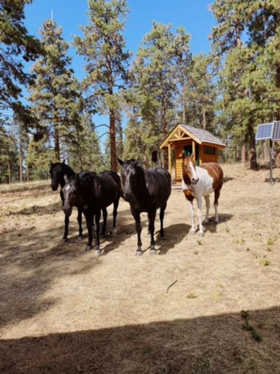 44625 Wild Horse Island Lane, Dayton, MT 59914 photo 42