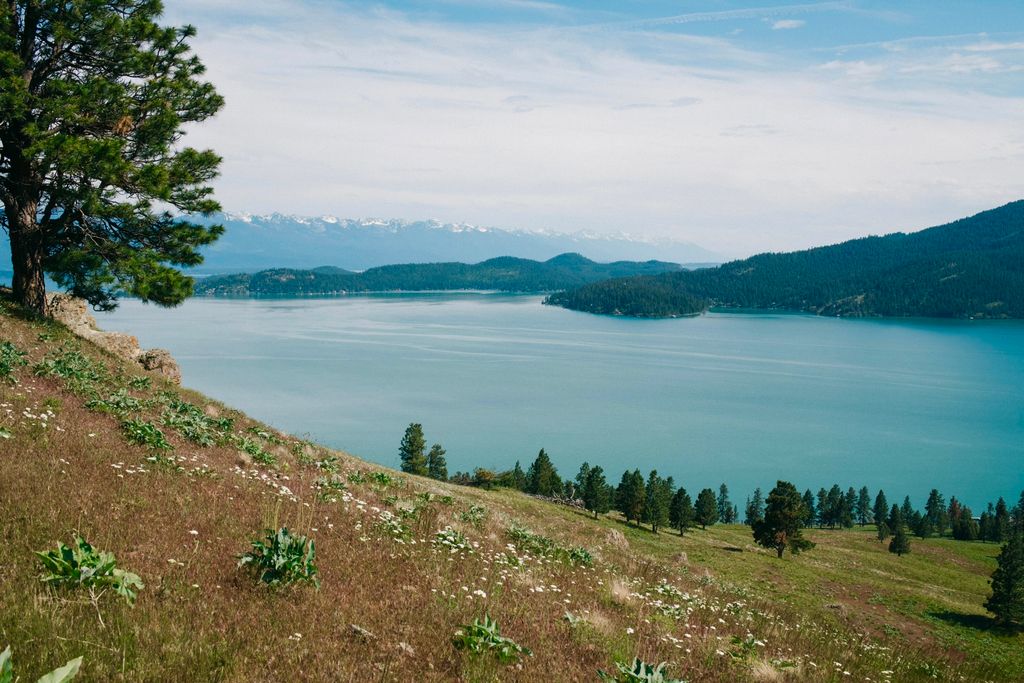 44625 Wild Horse Island Lane, Dayton, MT 59914 photo 43