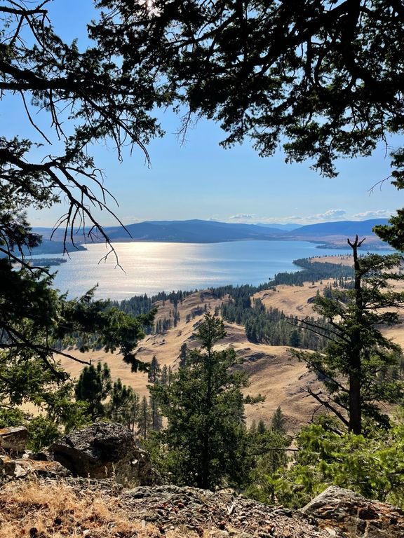 44625 Wild Horse Island Lane, Dayton, MT 59914 photo 44