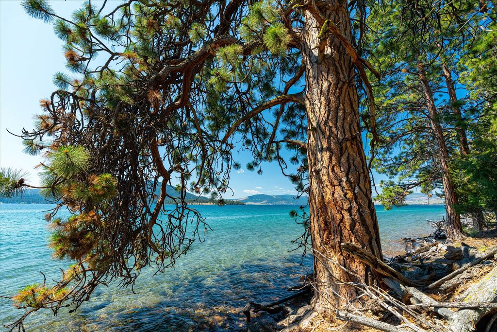 44625 Wild Horse Island Lane, Dayton, MT 59914 photo 55