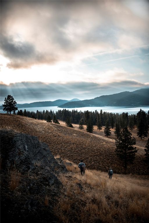 44625 Wild Horse Island Lane, Dayton, MT 59914 photo 7