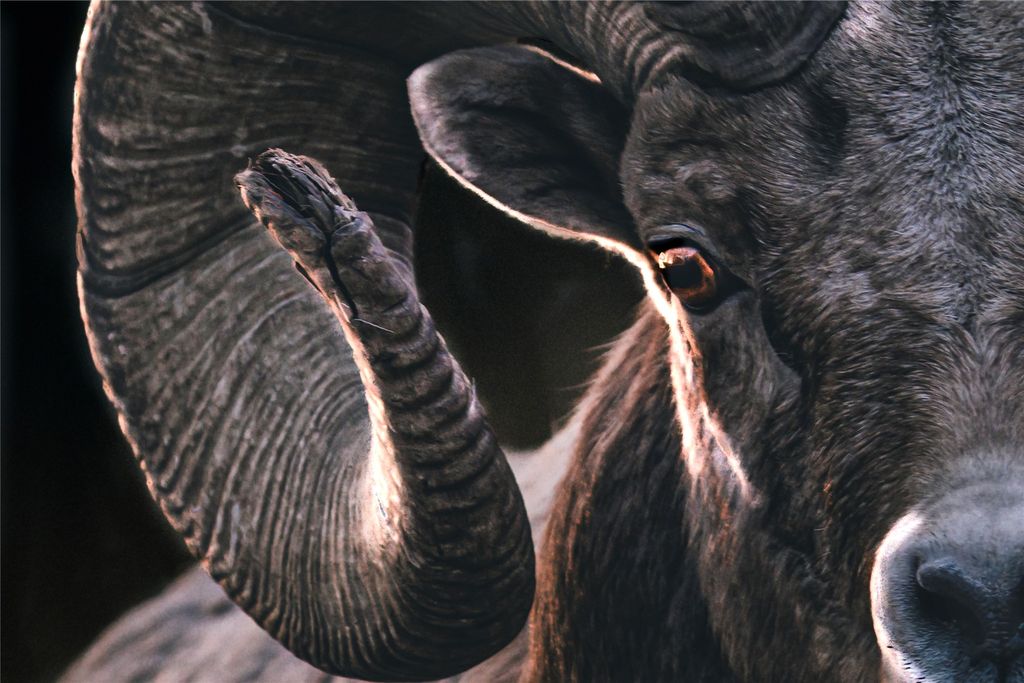 44625 Wild Horse Island Lane, Dayton, MT 59914 photo 9