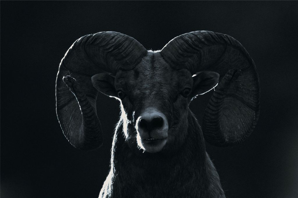 44625 Wild Horse Island Lane, Dayton, MT 59914 photo 96