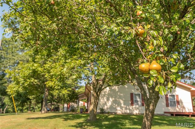 21895 County Road 550, Bloomfield, MO 63825