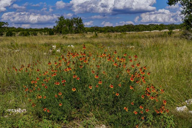 Lot 11 Maddalena LN, Dripping Springs, TX 78620