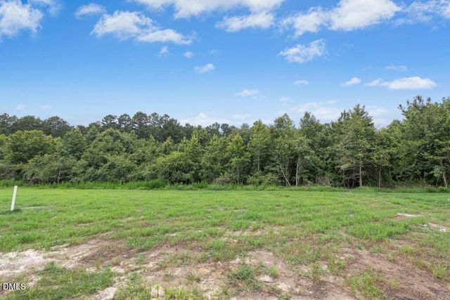128 Hummingbird Grv Lane, Princeton, NC 27569