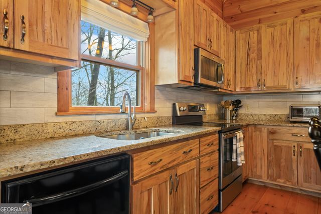 541 Little Bushy Head Road 271, Cherry Log, GA 30522